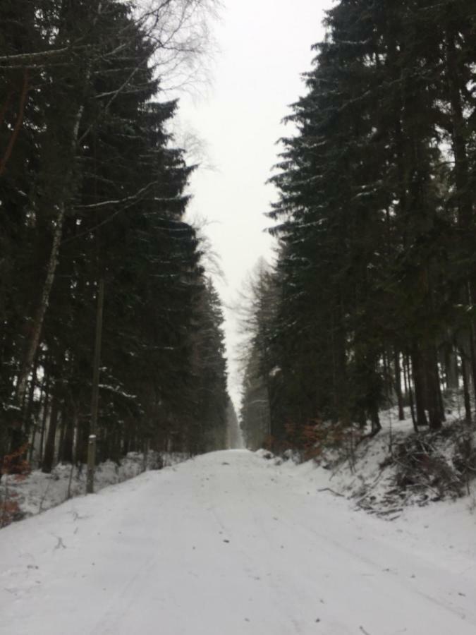 Heřmanov 141 Jindrichovice Exteriér fotografie
